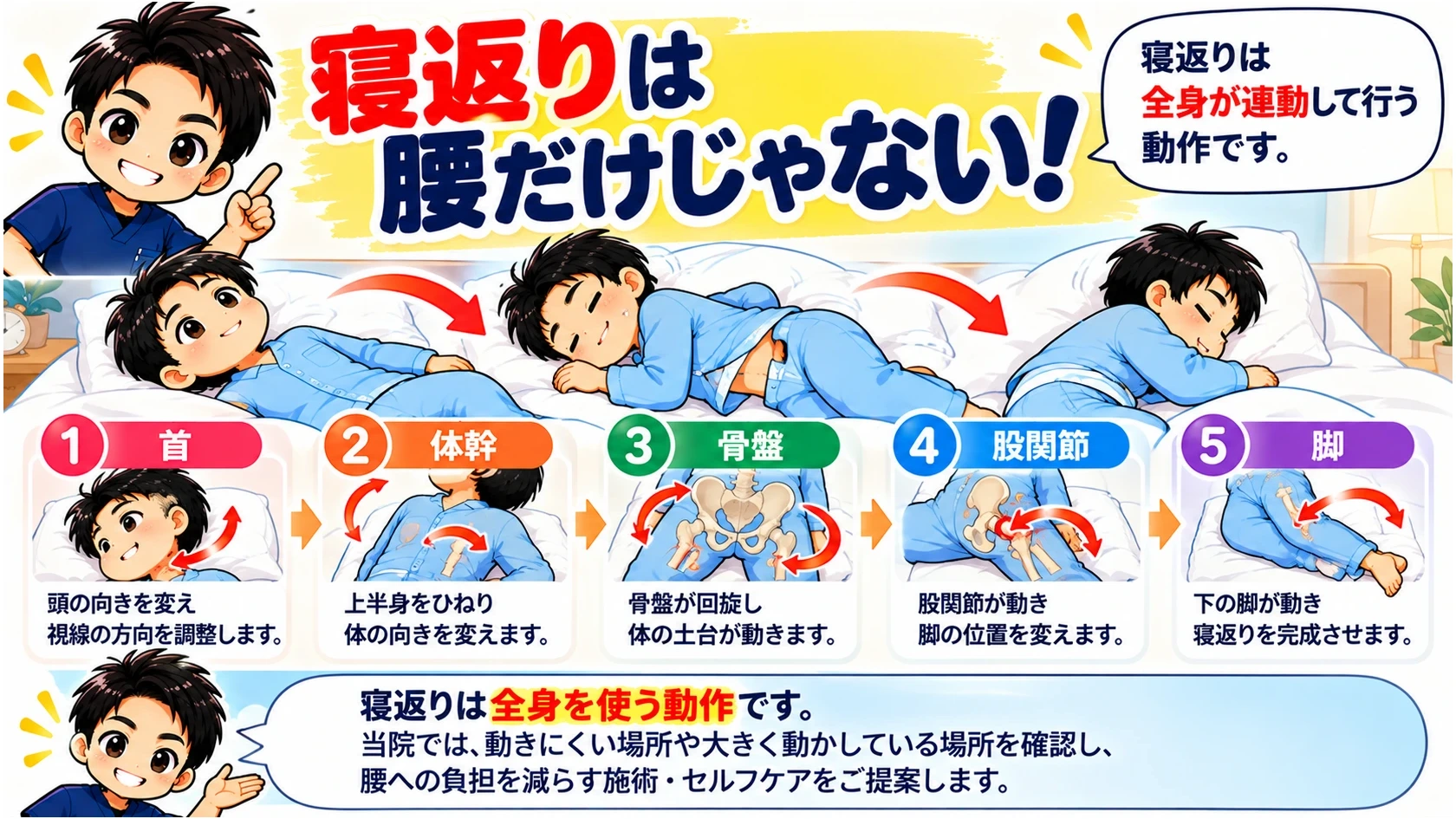 寝返りに関わる首・体幹・骨盤・股関節・脚の動きを示すイラスト